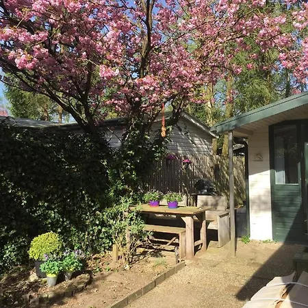 Natuurhuisje *